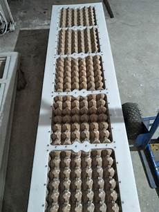 Egg Tray Molds