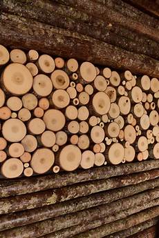 Log Cut