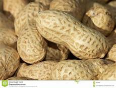 Shelled Peanuts Production Line