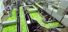 Vegetable Processing Machineries