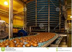 Biscuits Production Equipments