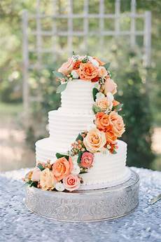 Cake Lines