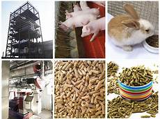 Cake Manufacturing Line
