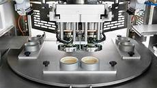 Cake Manufacturing Lines