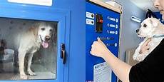 Car Washing Machines