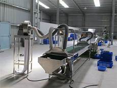 Cashew Automatic Salting Machine