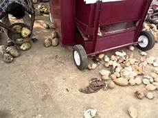 Cashew Automatic Salting Machine