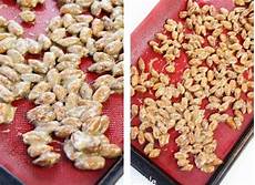 Coated Nuts Mixer