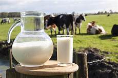 Dairy Machinery