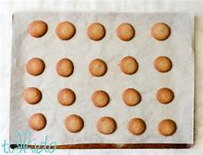 Dough Mixer Wafer