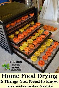 Drying Ovens