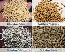 Feed Crushing Machine