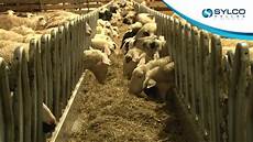 Feed Mixer