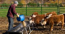 Feed Mixer