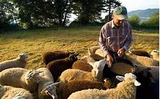 Feed Mixing Machine