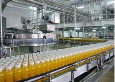 Filled Biscuit Production Line
