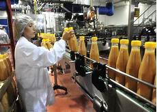 Food Processing Machines