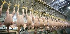 Food Production Line