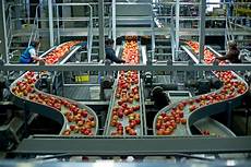 Food Production Lines