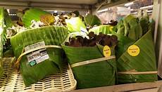 Fruit Cutter