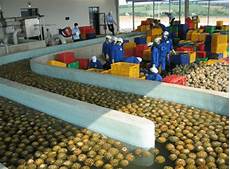 Granite Processing Machinery System