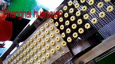 Hard Biscuit Molds