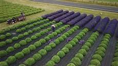 Harvesting Machines