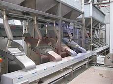 Hazelnut Blanching Machine