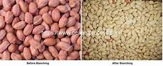 Hazelnut Blanching Machine