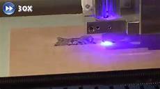 Head Cutting Machine