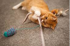 Laser Pointers