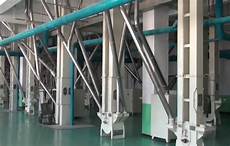 Lentil Processing Machines