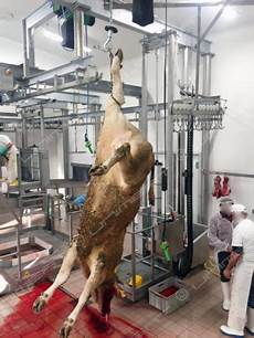 Meat Saw