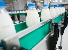 Milk Processing Machines