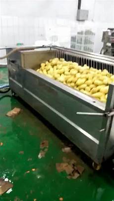 Potato Peeling Machinery