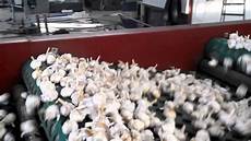 Processing Machinery