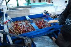 Processing Machinery