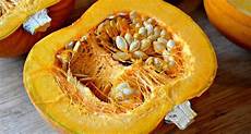 Pumpkin Seed Production Line