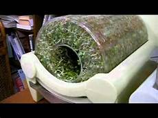 Pumpkin Seed Rotating Machines