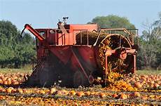 Pumpkin Seed Washing Machine