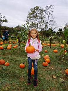Pumpkin Seed Washing Machine