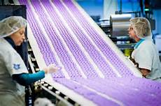 Seed Production Machines