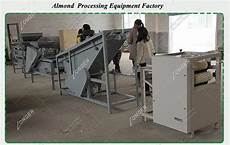 Shelled Hazelnut Production Line