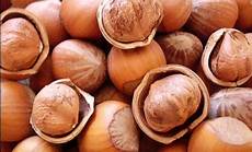 Shelled Hazelnut Rotating Machine