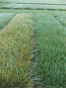 Silage Machines