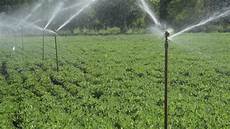 Spray Machine