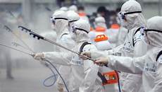 Spraying Machine