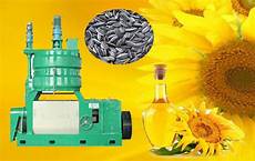 Sunflower Seed Automatic Salting Machine