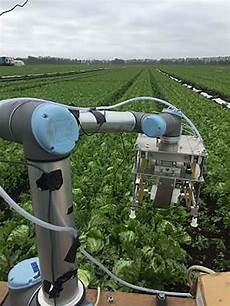 Vegetable Machine