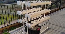 Vegetable Machines